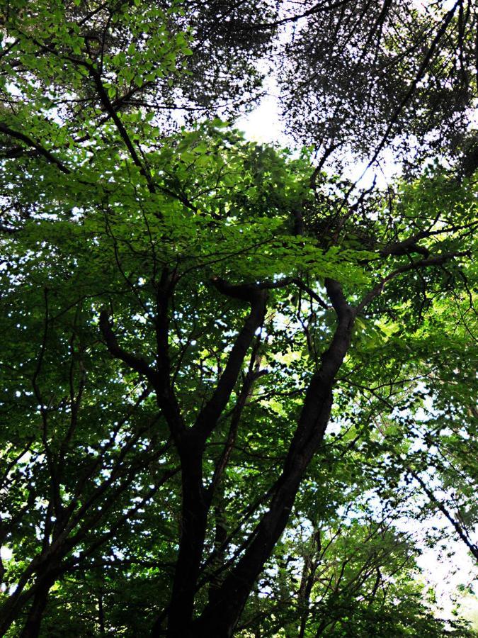 大人スイート 那須高原 結 Cottage Nasu Eksteriør billede